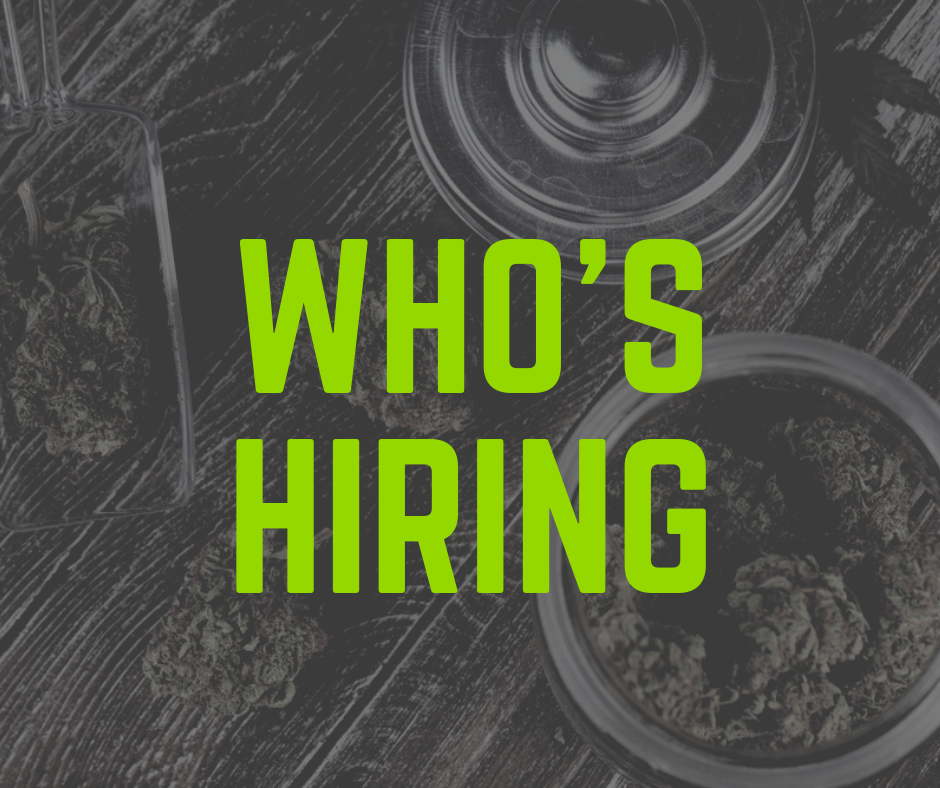 who is hiring cannabis